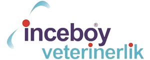 Veteriner